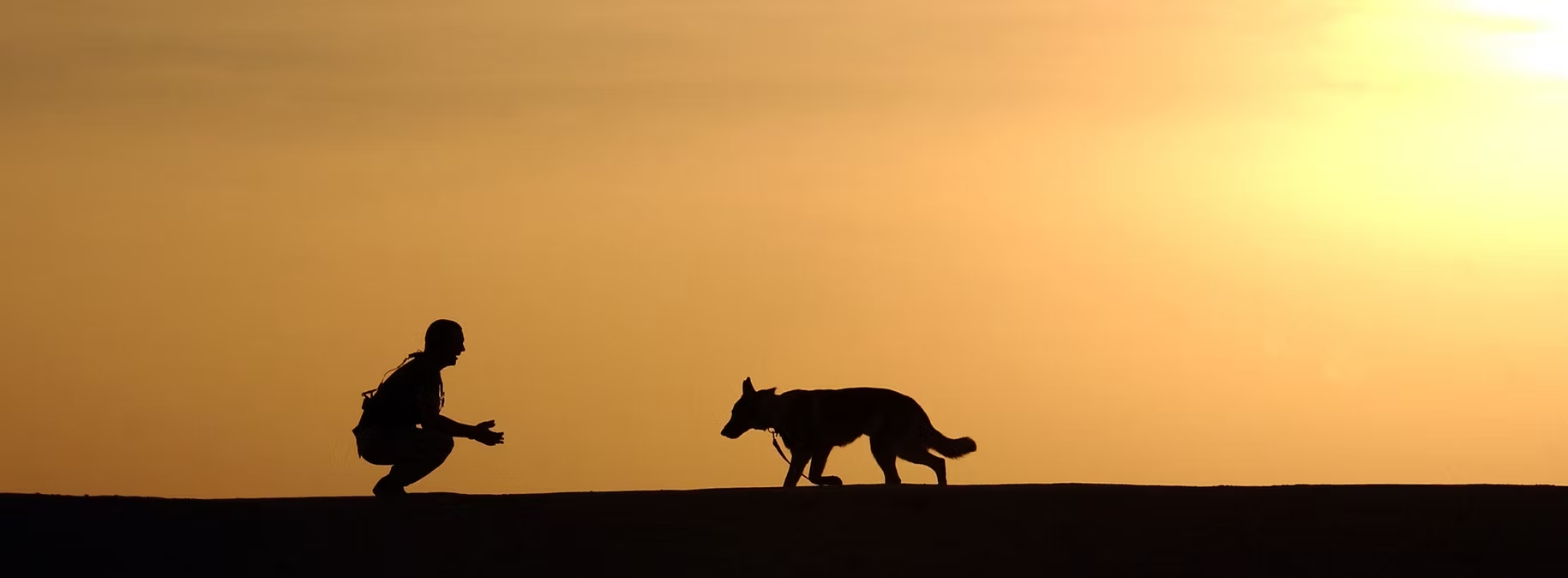 Train mee met je hond